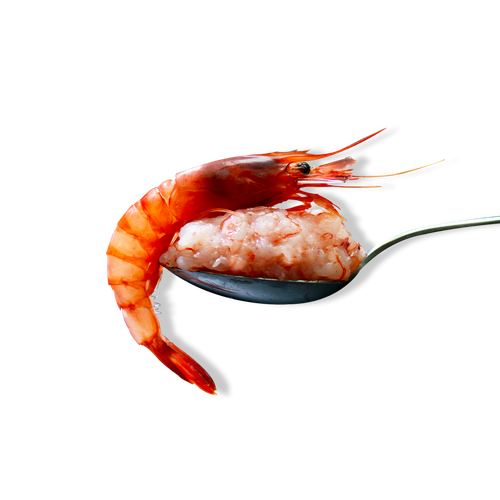 Tartare di Gambero Viola del Mediterraneo - 480 g