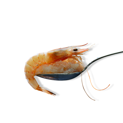 Tartare di Gambero Rosa del Mediterraneo - 480 g