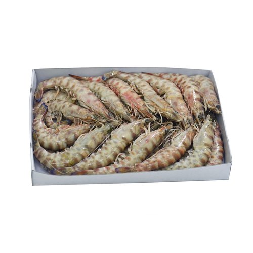 Mazzancolla II 1Kg 2