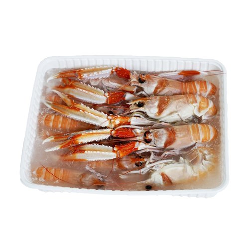 Scampo I 1Kg 2