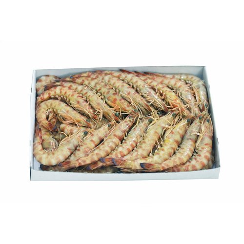 Mazzancolla III 1Kg 2