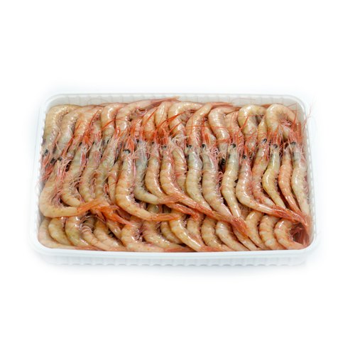 Gambero Rosa III intero 1Kg 2